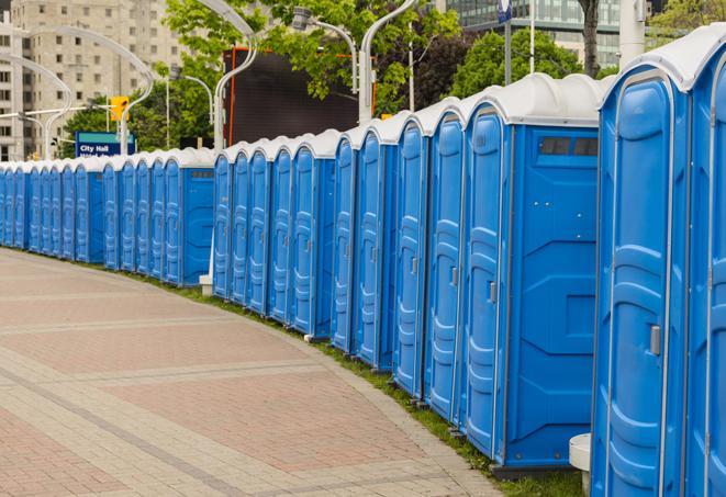 Seasonal porta potty units set up at a Big Rapids, Michigan venue